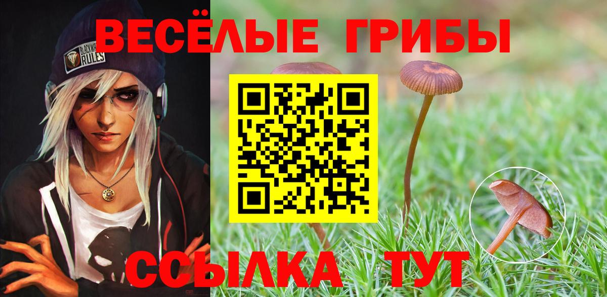 Ессентуки  Псилоцибиновые грибы прущие грибы  закладки  Вход с VPN 