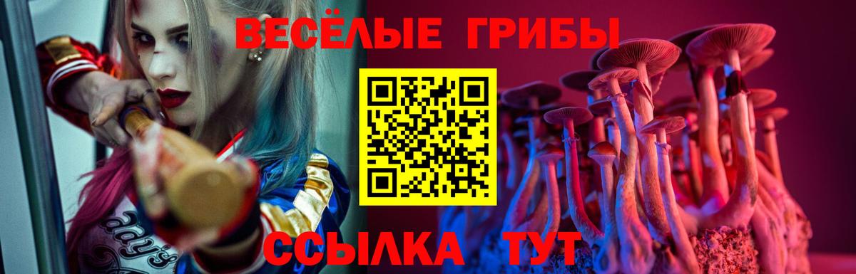 Галлюциногенные грибы мухоморы Ессентуки